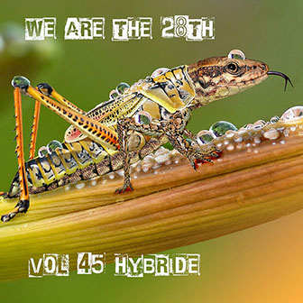 Pochette CD du Vol.45 pour le collectif musical We are the 28th